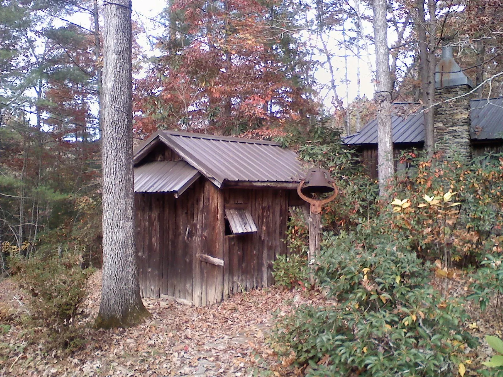 Small metal roof on a rough sawn shed in the woods in North Bay